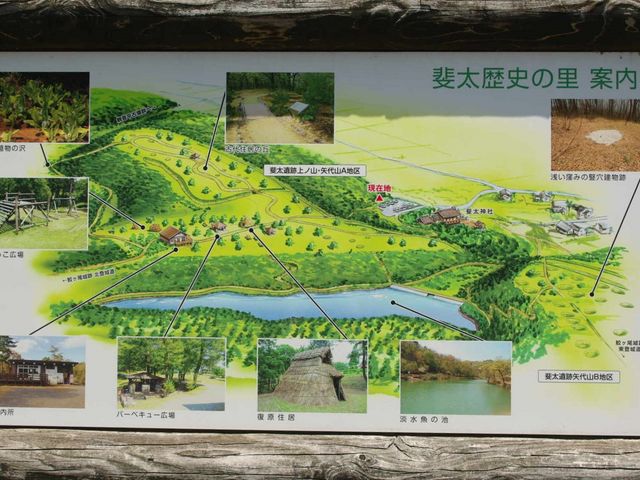 メタボ大王さんの斐太史跡公園(斐太歴史の里)の投稿写真1