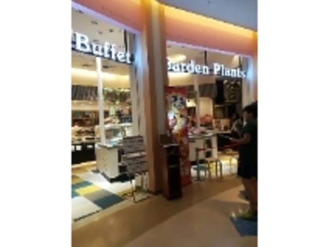 入りやすい雰囲気_ブッフェガーデンプランツトレッサ横浜店