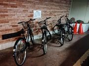 しんのすけさんのわかちかレンタサイクルの投稿写真1