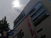 yookoさんのナナズグリーンティー Nana's Green Tea 札幌パルコ店の投稿写真1