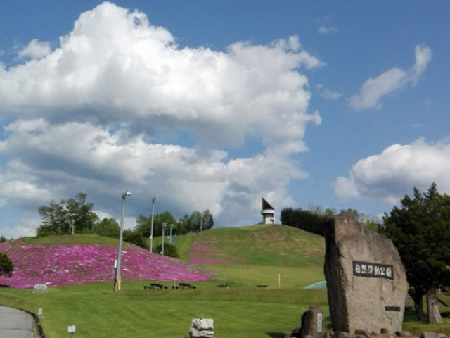 Laa-Laaさんの津別自然運動公園の投稿写真1