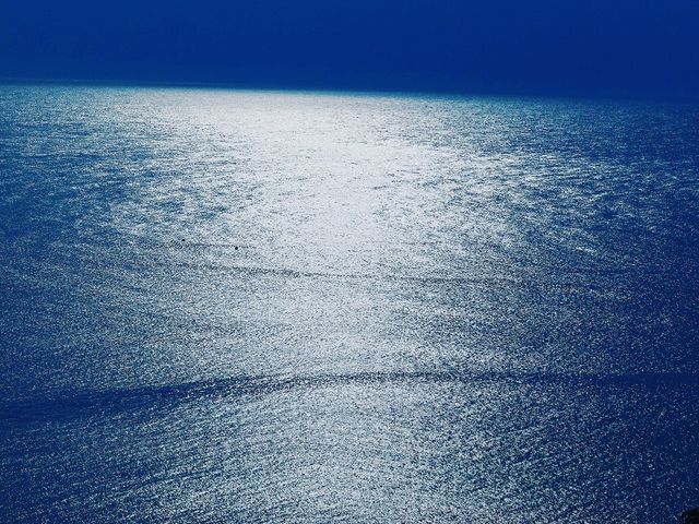 窓から見える日本海_寿海亭