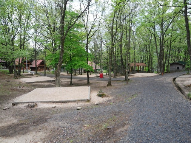 ダイヤモンドガストさんののとろ原キャンプ場の投稿写真1