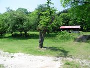 ダイヤモンドガストさんの鵜の池公園の投稿写真2