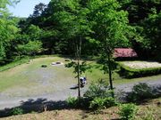 ダイヤモンドガストさんの勝山美しい森の投稿写真1