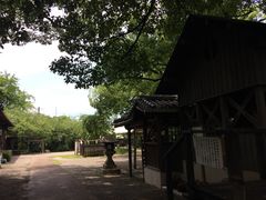 ヤスダカメラの写真1