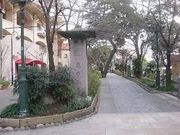 チックさんの花のみちの投稿写真1