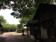 ryoさんのヤスダカメラの投稿写真1