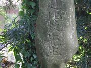 Yanwenliさんの卯辰山山麓寺院群の投稿写真4