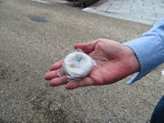 はこねあたみさんの志ら玉屋の投稿写真1