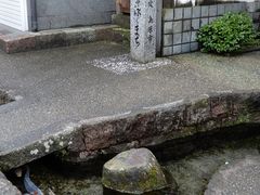 坊ちゃんさんの鯉の泳ぐまちへの投稿写真1