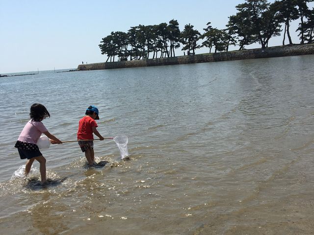 しずくさんの県立高砂海浜公園の投稿写真1