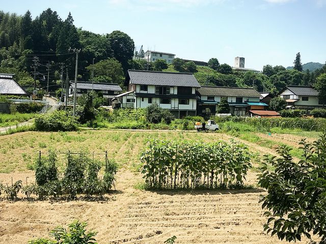 畑_ふるば村自然農園