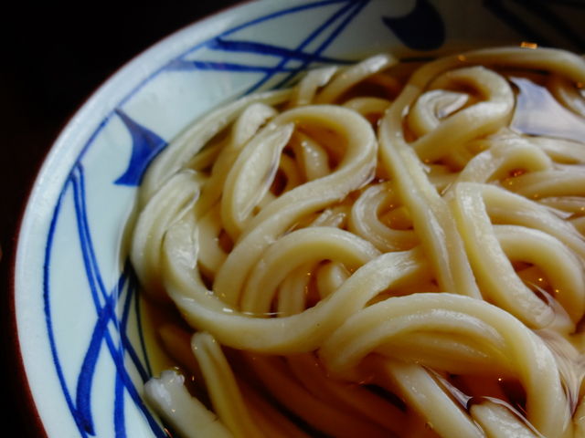 かけうどん_讃州 丸亀製麺 泉パークタウン・タピオ店