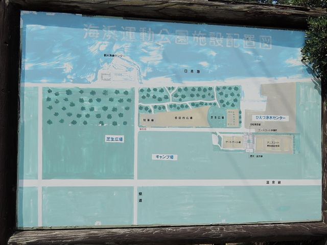 美保湾海辺沿いにある、黒松林に面した運動公園_日吉津村海浜運動公園