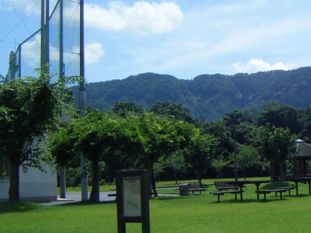 TKSさんの東郷運動公園の投稿写真1