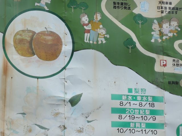 TKSさんの波関園の投稿写真1