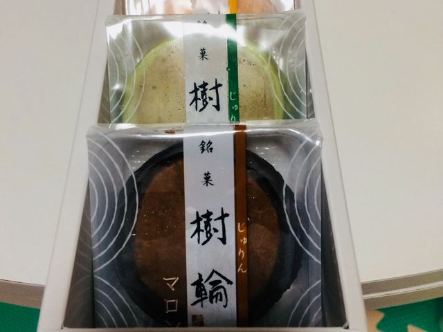 樹輪_樹杏 柏タカシマヤ店