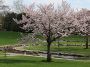 たかちゃんさんのひがしかぐら森林公園の投稿写真2