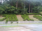 マスタングさんの福泉寺の投稿写真2