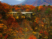 himarayaさんの鳴子峡の投稿写真1