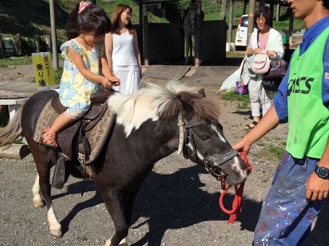 小さな子供でも おとなしくのせてくれるポニーはクセになります。_鷹山ファミリー牧場