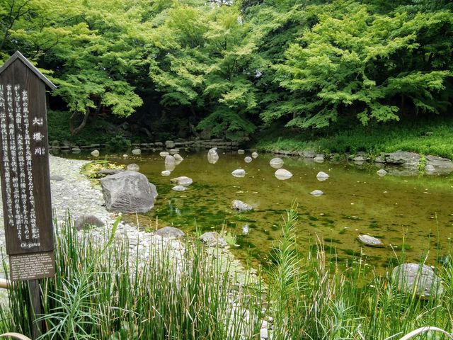 大堰川_大堰川(小石川後楽園)