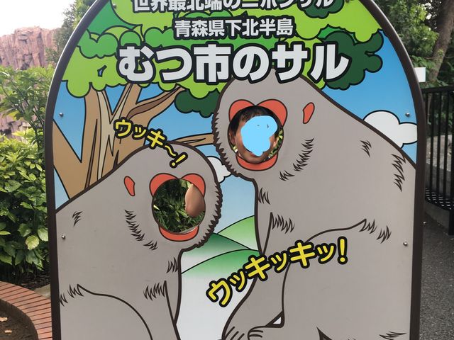 最北端に住む猿はむつ市らしいです_上野動物園 サル山