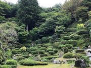 satoさんの安楽寺庭園の投稿写真1