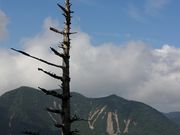 Yanwenliさんの日光白根山の投稿写真3