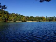 雷ちゃんさんの松原湖の投稿写真1