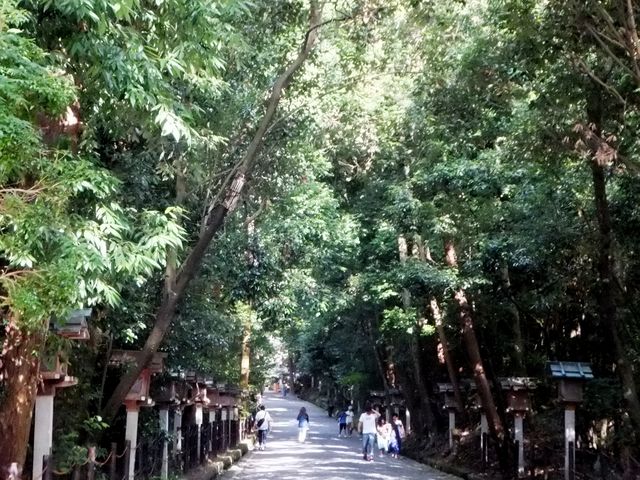 二の鳥居をくぐると、いかにも神域に入ったという雰囲気に。_大神神社