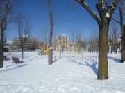 あやしさんの幸町公園の投稿写真1