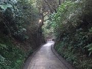 Kuda12さんの亀ヶ谷坂切通しの投稿写真1