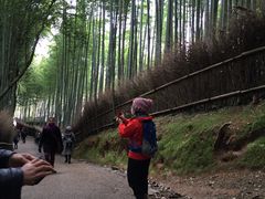 あやさんの竹林の道への投稿写真1