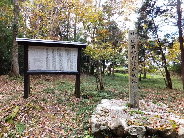 主郭跡:ただの広場という風情。_百地砦跡