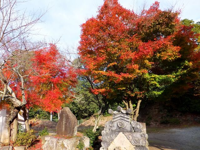永保寺境内の紅葉_百地砦跡