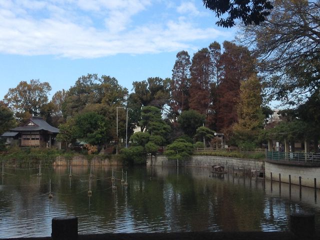 大きな池の中島には神社もある_碑文谷公園