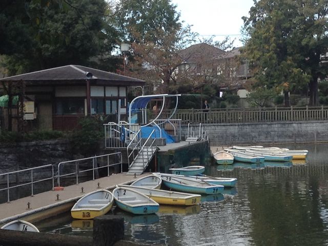 200円で貸しボートもある_碑文谷公園
