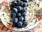 世界の郷さんの茶房・たかさきの投稿写真3