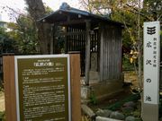 はるるんさんの広沢の池の投稿写真1