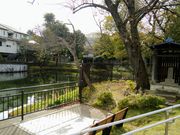 はるるんさんの広沢の池の投稿写真2