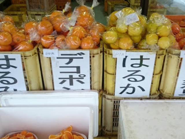 直売所_みくに農園