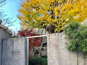 もぎちさんの文京区立森鴎外記念館の投稿写真1