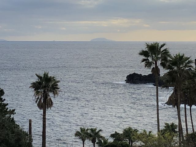 夕景の海_伊豆海洋公園ダイビングセンター