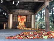 ayaさんの熊野大社の投稿写真1