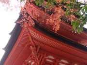 きょうさんの豊国神社(千畳閣)の投稿写真1