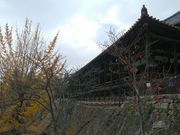 きょうさんの豊国神社(千畳閣)の投稿写真2
