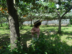 春光園の写真1