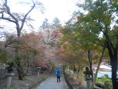 秋月城跡の写真1